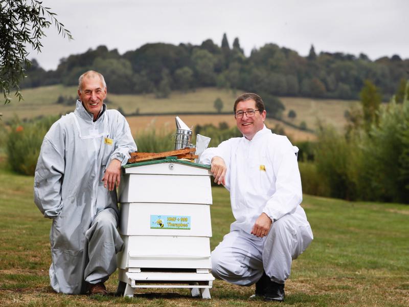 One Million Bees Create a Buzz at Westcott Venture Park One Million Bees Create a Buzz at Westcott Venture Park
